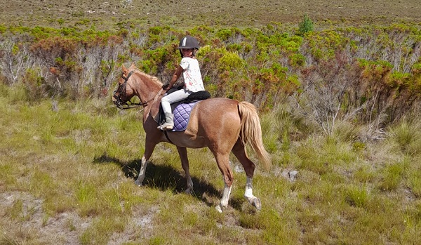 Hermanus Horse Riding