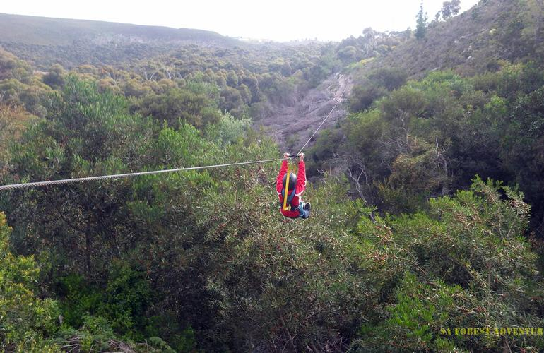 3 Ways to Zipline if you are in Hermanus