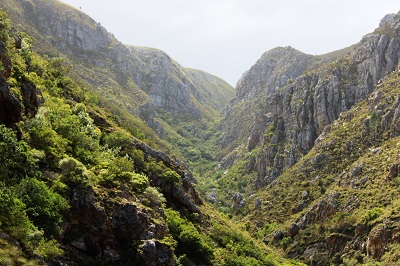 Is Fernkloof Nature Reserve Trail Worth Hiking