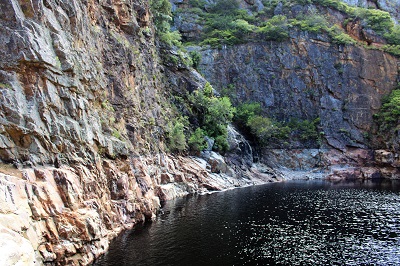Visiting Fernkloof Nature Reserve