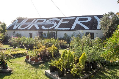 Afdaksrivier Nusery Close to Hermanus