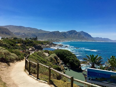 How you should visit Hermanus