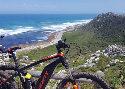 Bicycle Tours and Rentals in Hermanus