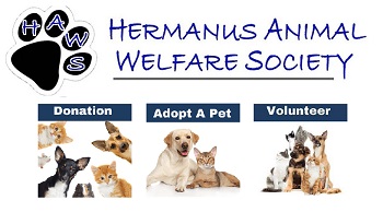 Hermanus Animal Welfare Society HAWS