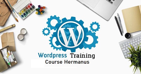 WordPress Website Training Course in Hermanus