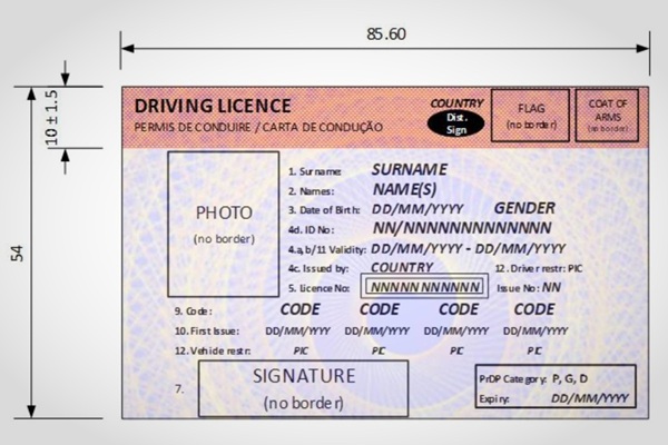 Step-by-Step Guide to Apply for Digital License
