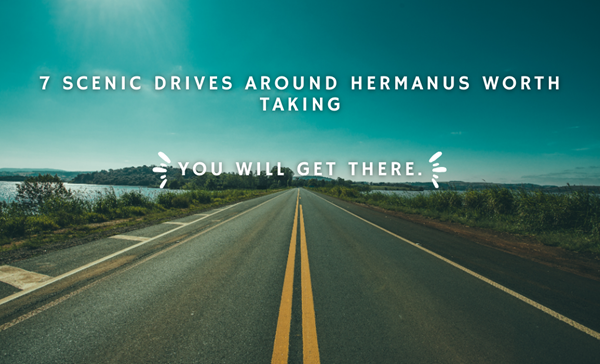 7 Scenic Drives Around Hermanus Worth Taking