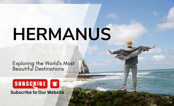 Things to do in Hermanus Today