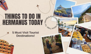 Things to do in Hermanus today
