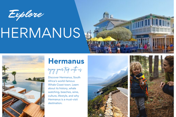 Hermanus
