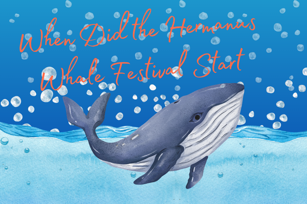 When Did the Hermanus Whale Festival Start