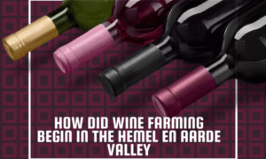 How did wine farming begin in the Hemel en Aarde Valley